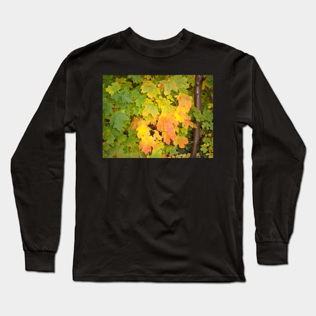 Autumn leaf Long Sleeve T-Shirt by Jujucreation